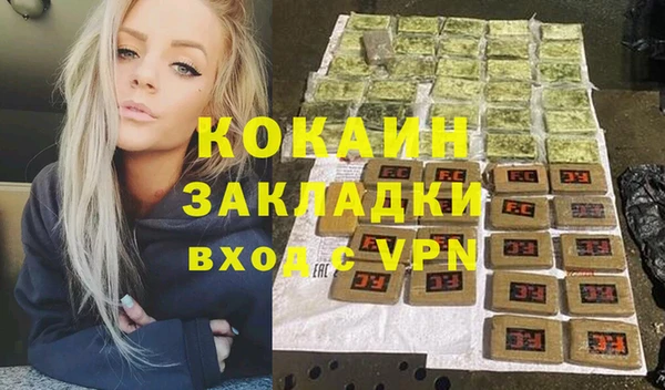 стаф Алексин