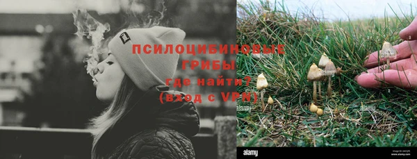 стаф Алексин