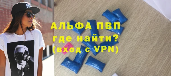 стаф Алексин