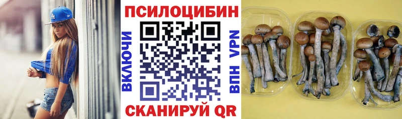 Галлюциногенные грибы GOLDEN TEACHER  Нытва 